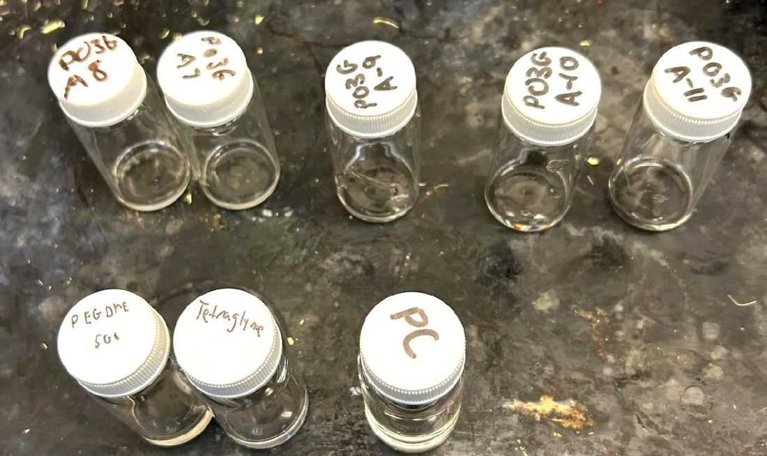 Glass vials of polymer electrolyte solutions and plasticizers with handwritten labels